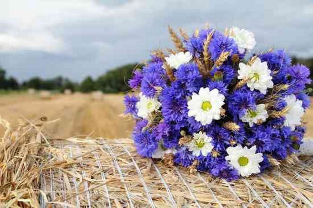 яркий свадебный букет из полевых цветов